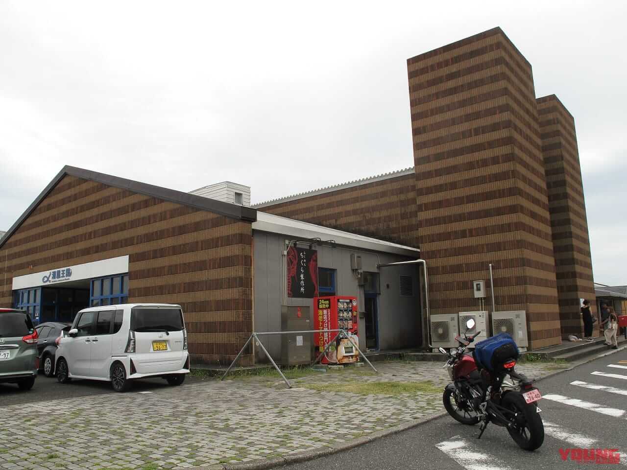 ｜房総フラワーラインをバイクで満喫｜絶景ルート・道の駅・開花情報・見頃ガイド