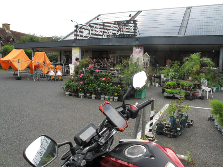 房総フラワーライン｜房総フラワーラインをバイクで満喫｜絶景ルート・道の駅・開花情報・見頃ガイド