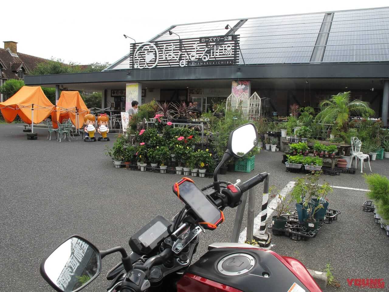 ｜房総フラワーラインをバイクで満喫｜絶景ルート・道の駅・開花情報・見頃ガイド