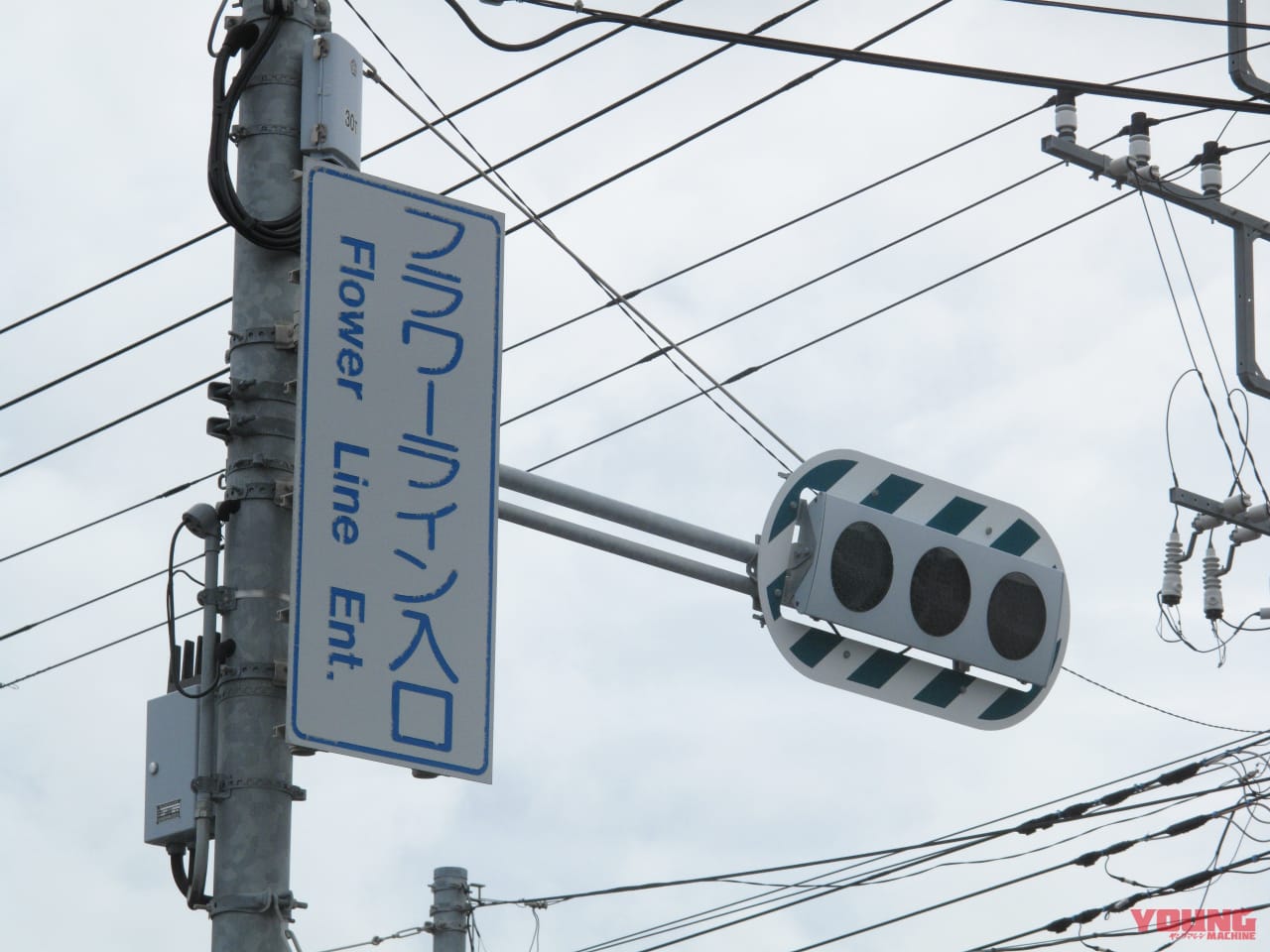 ｜房総フラワーラインをバイクで満喫｜絶景ルート・道の駅・開花情報・見頃ガイド