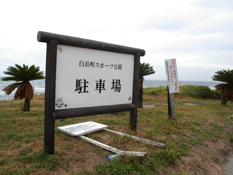 房総フラワーライン｜房総フラワーラインをバイクで満喫｜絶景ルート・道の駅・開花情報・見頃ガイド