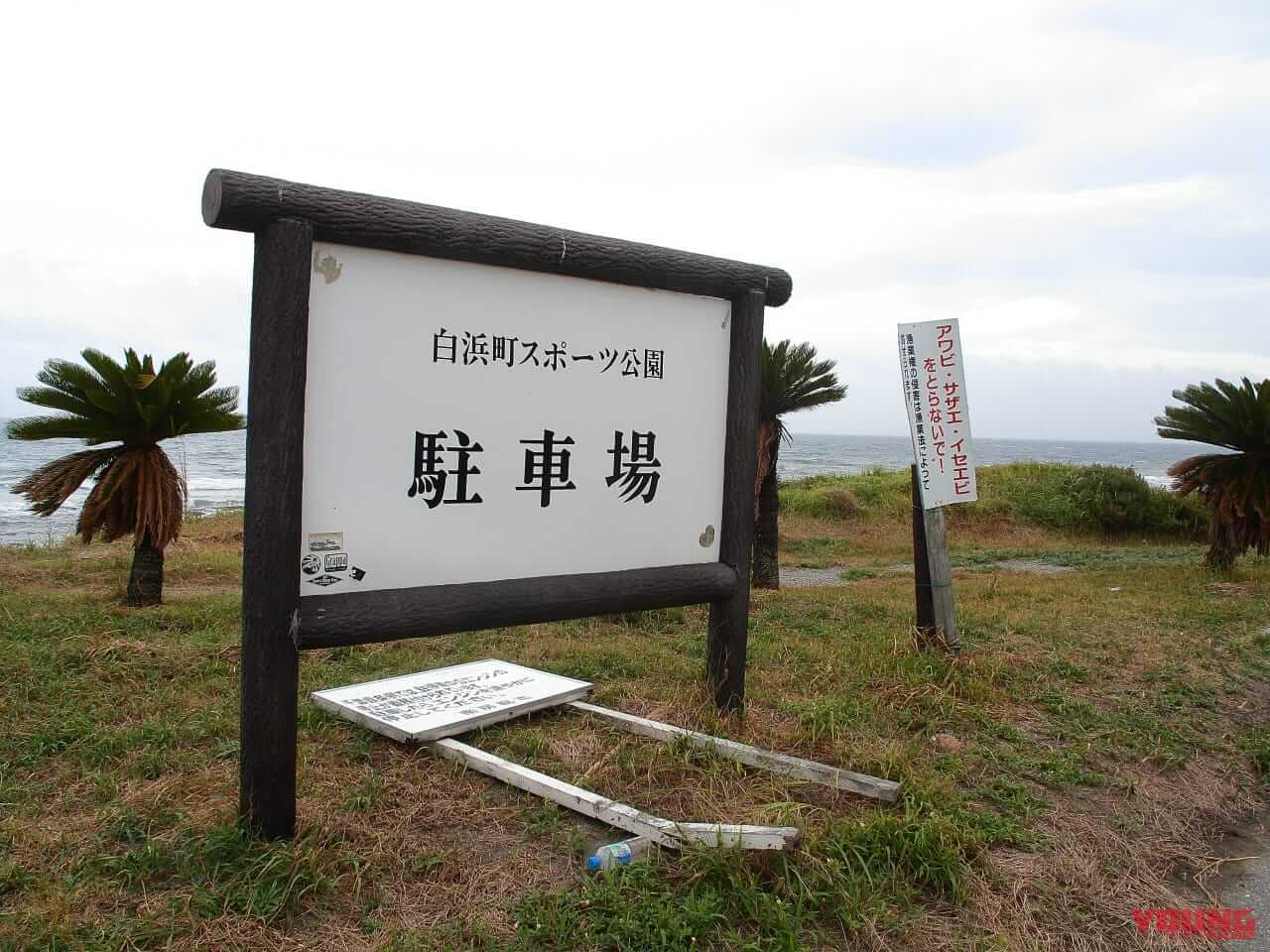 ｜房総フラワーラインをバイクで満喫｜絶景ルート・道の駅・開花情報・見頃ガイド