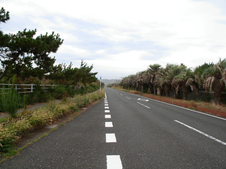房総フラワーライン｜房総フラワーラインをバイクで満喫｜絶景ルート・道の駅・開花情報・見頃ガイド