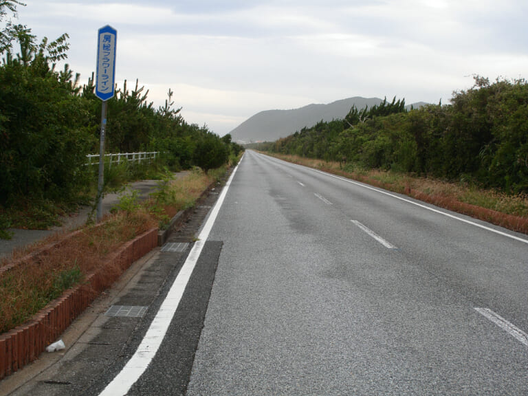 房総フラワーラインをバイクで満喫｜絶景ルート・道の駅・開花情報・見頃ガイド