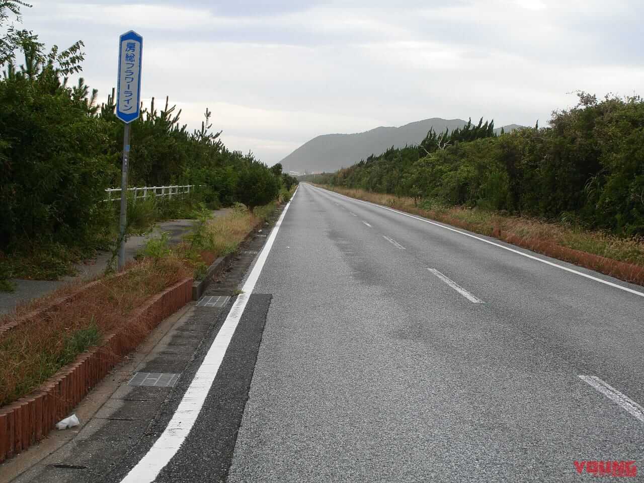 ｜房総フラワーラインをバイクで満喫｜絶景ルート・道の駅・開花情報・見頃ガイド
