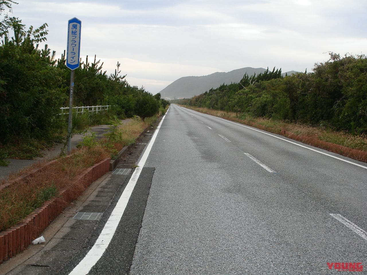 |房総フラワーラインをバイクで満喫|絶景ルート・道の駅・開花情報・見頃ガイド