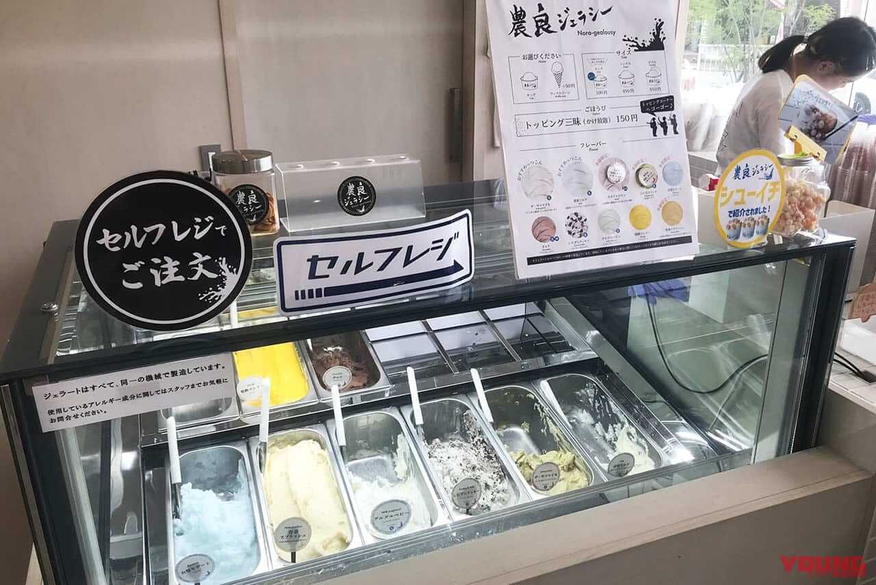 nouto(ノウト)工場直売所のジェラート『農良(のら)ジェラシー』｜【蛇口から〇〇!? 】カルピス、山梨県産100%桃、完熟カゴメトマトが飲める! 夢の「蛇口ジュース」新体験スポット3選「つくろう“あま〜い夏の思い出”」