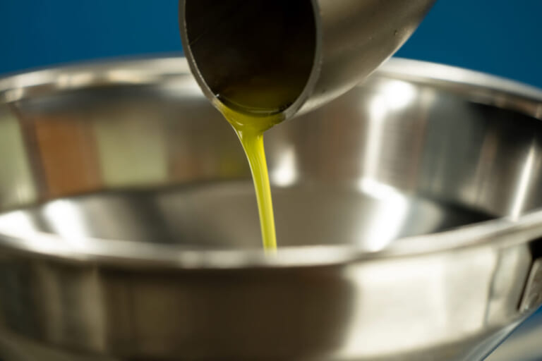 秋の小豆島を愛車で駆ける! 期間限定「オリーブ収穫ステイ」で絶景と旬の恵みを五感で味わおう|秋の小豆島を愛車で駆ける! 期間限定「オリーブ収穫ステイ」で絶景と旬の恵みを五感で味わいつくそう