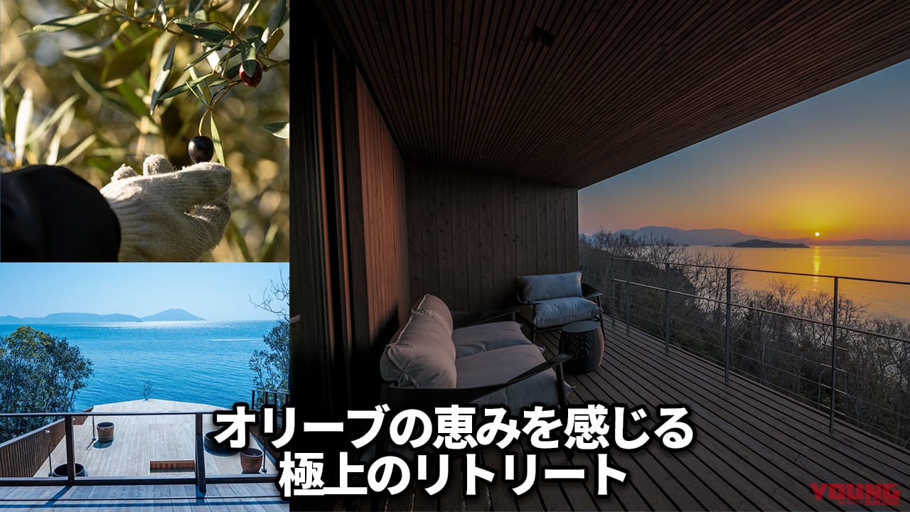 秋の小豆島を愛車で駆ける! 期間限定「オリーブ収穫ステイ」で絶景と旬の恵みを五感で味わいつくそう