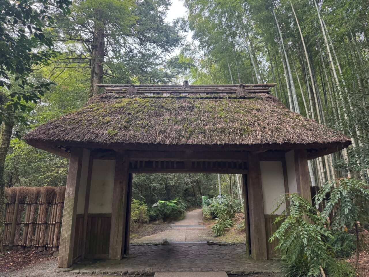 女優・指出瑞貴の『バイク×音楽×コーヒーdiary(仮)』その5:新しい相棒とB+COM便利ツーリングな話|女優・指出瑞貴の『バイク×音楽×コーヒーdiary(仮)』その5:新しい相棒とB+COM便利ツーリングな話