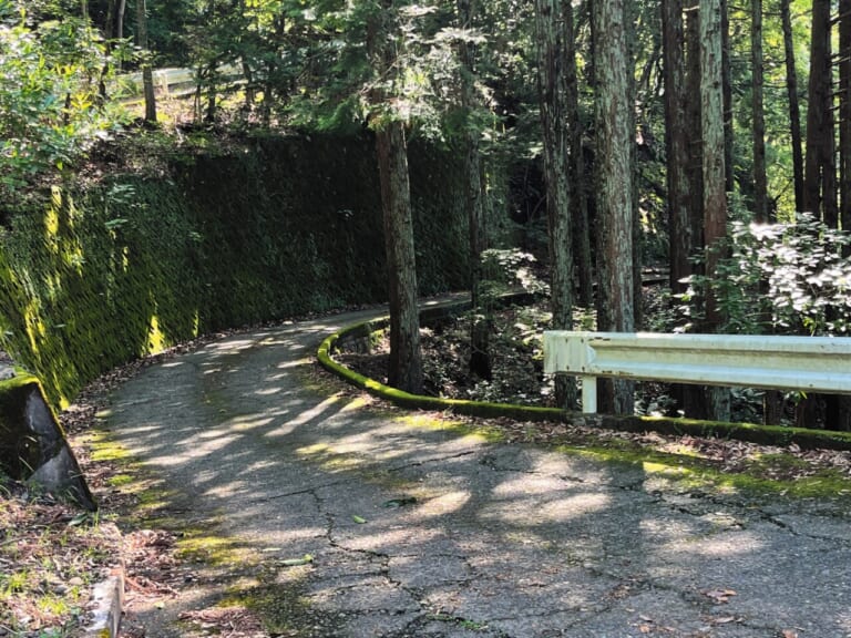 R1300GSで西丹沢｜BMW R1300GSで秘境探訪 〜青き空、碧き大地の西丹沢を走る〜