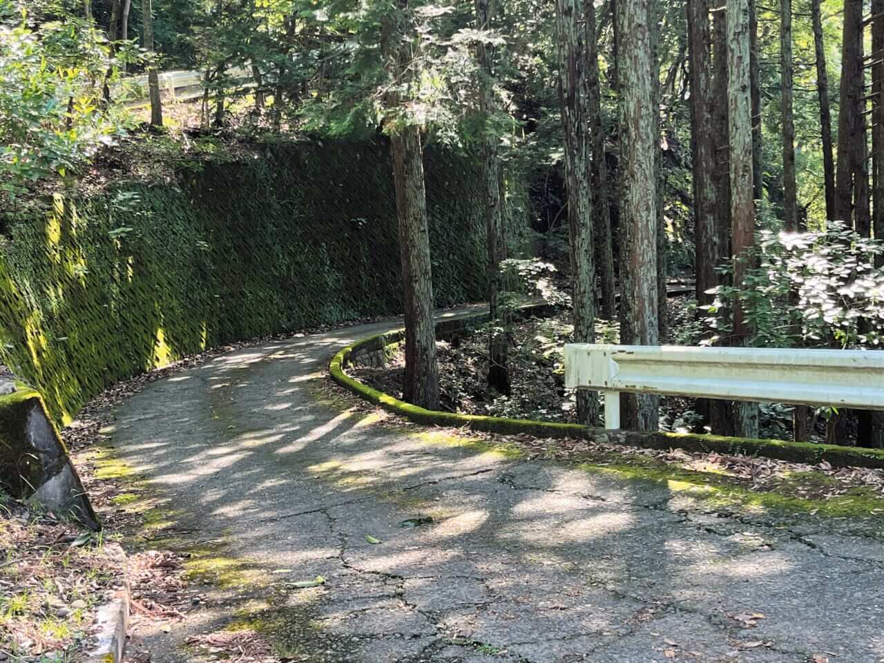 R1300GSで西丹沢｜BMW R1300GSで秘境探訪 〜青き空、碧き大地の西丹沢を走る〜