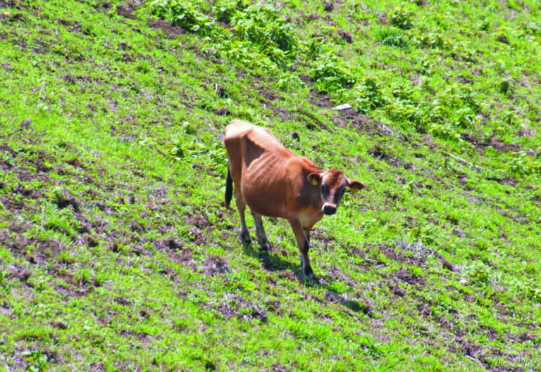 R1300GSで西丹沢｜BMW R1300GSで秘境探訪 〜青き空、碧き大地の西丹沢を走る〜