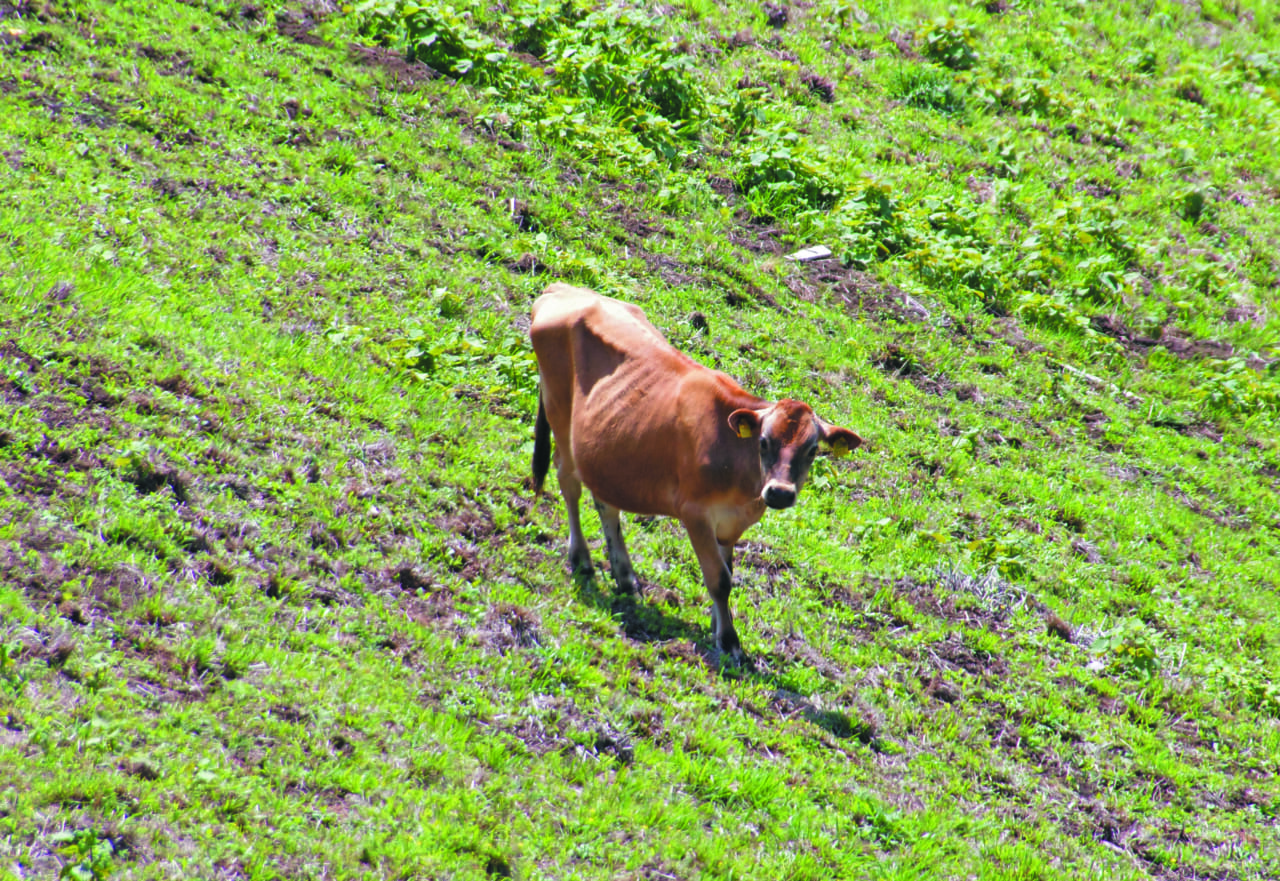|BMW R1300GSで秘境探訪 〜青き空、碧き大地の西丹沢を走る〜