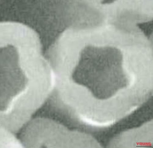 冬のライディングの悩みをブッ飛ばせ! 軽い/暖かい/ムレない おたふく手袋のインナー「FLY WARM」がお役立ちすぎる｜冬のライディングの悩みをブッ飛ばせ! 軽い/暖かい/ムレない おたふく手袋のインナー「FLY WARM」がお役立ちすぎる