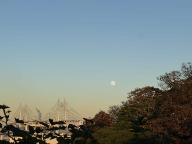 指出瑞貴×サインハウス｜女優・指出瑞貴の『バイク×音楽×コーヒーdiary(仮）』その7：秋の横浜　ぶらり思い出めぐりへ～