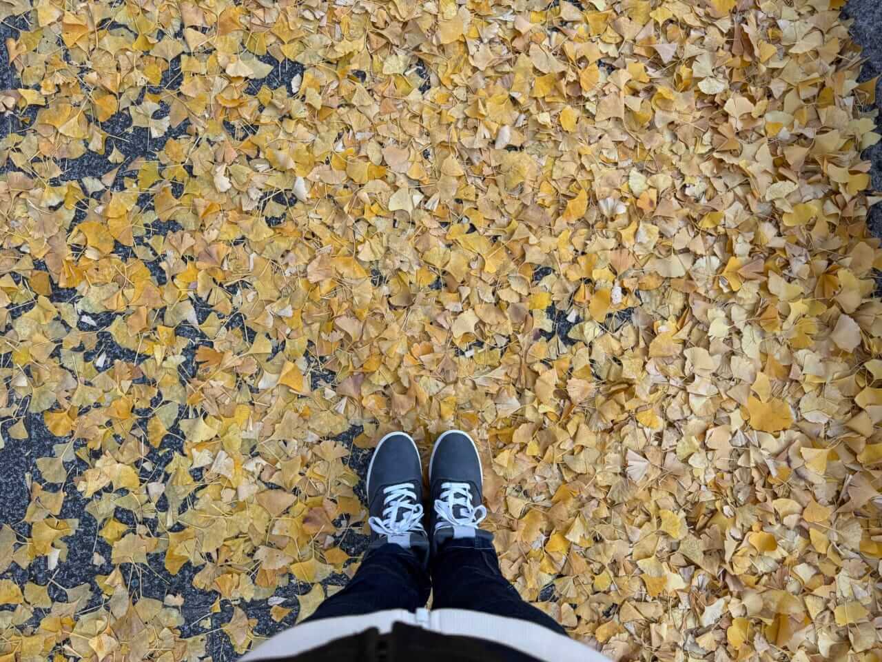 指出瑞貴×サインハウス｜女優・指出瑞貴の『バイク×音楽×コーヒーdiary(仮）』その7：秋の横浜　ぶらり思い出めぐりへ～