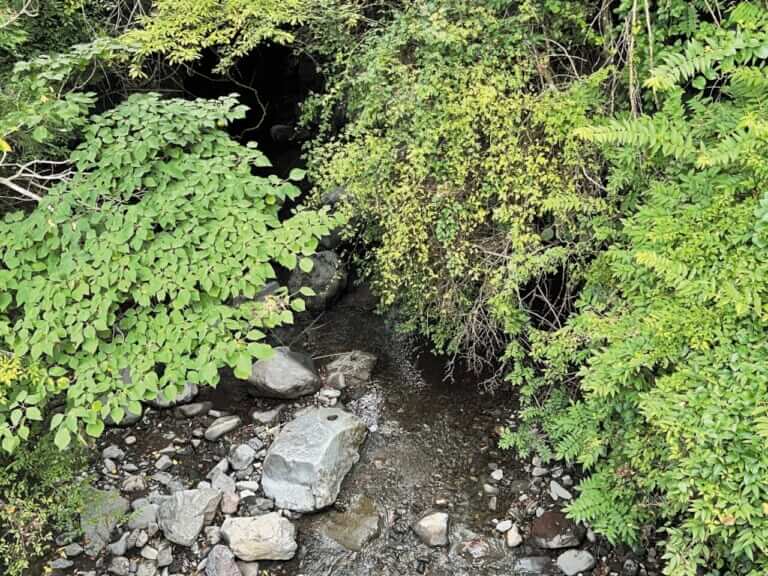 BMW R12G/S GS sport｜BMW R12G/S GSスポーツでツーリング〜足柄／裏箱根南北縦走行(神奈川県／静岡県)