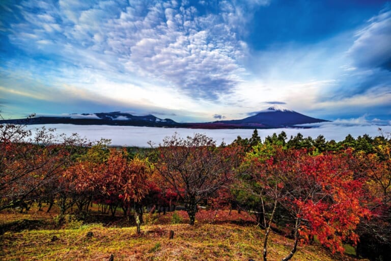 BMW R12G/S GS sport｜BMW R12G/S GSスポーツでツーリング〜足柄／裏箱根南北縦走行(神奈川県／静岡県)