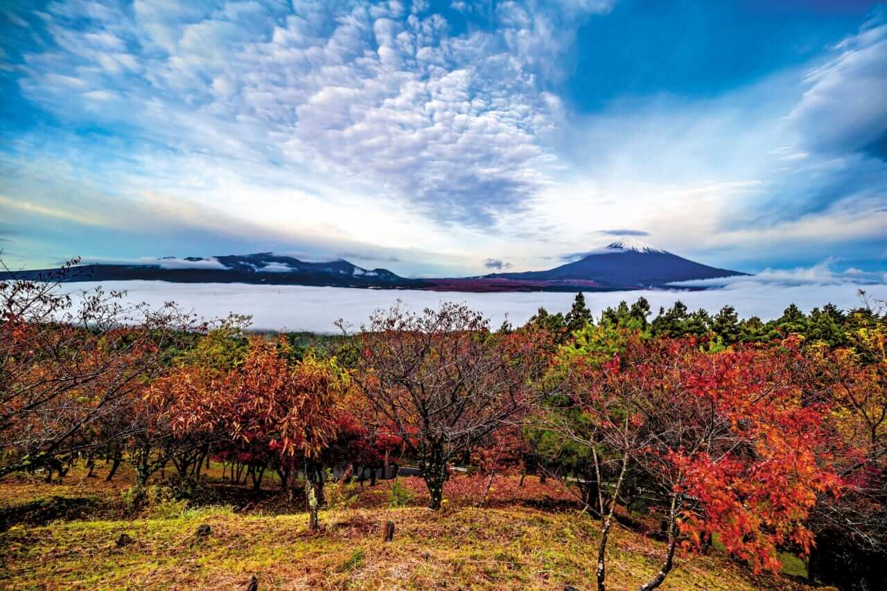 BMW R12G/S GS sport｜BMW R12G/S GSスポーツでツーリング〜足柄／裏箱根南北縦走行(神奈川県／静岡県)