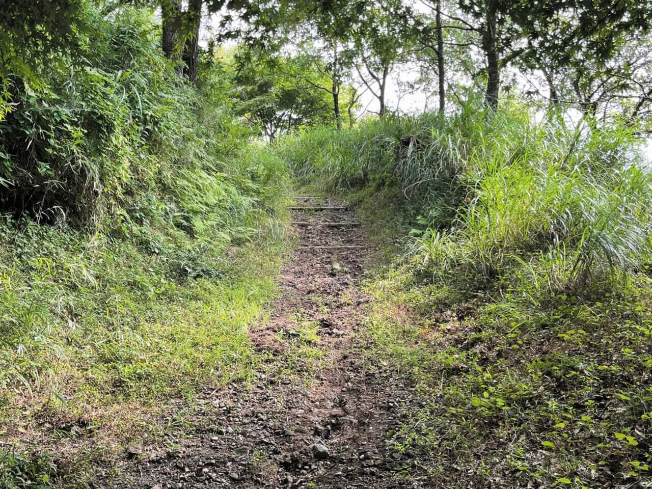 BMW R12G/S GS sport｜BMW R12G/S GSスポーツでツーリング〜足柄／裏箱根南北縦走行(神奈川県／静岡県)