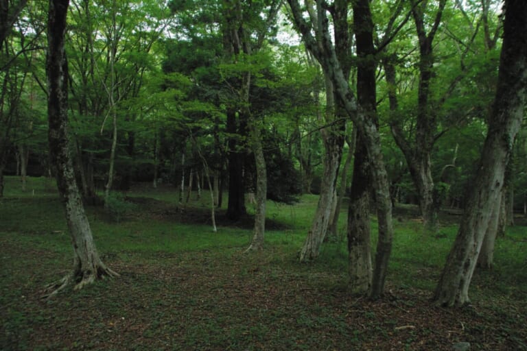 BMW R12G/S GS sport｜BMW R12G/S GSスポーツでツーリング〜足柄／裏箱根南北縦走行(神奈川県／静岡県)