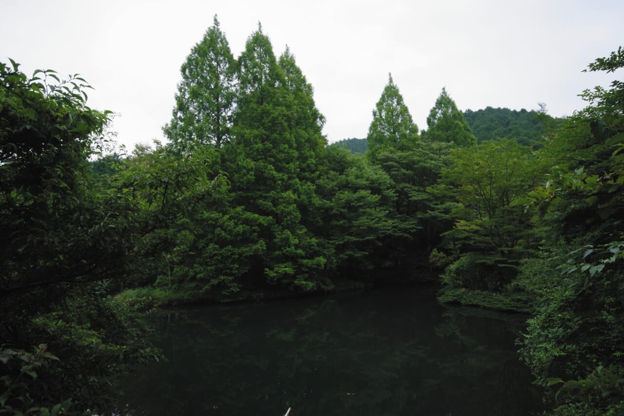 BMW R12G/S GS sport｜BMW R12G/S GSスポーツでツーリング〜足柄／裏箱根南北縦走行(神奈川県／静岡県)