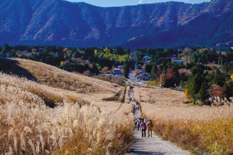 BMW R12G/S GS sport｜BMW R12G/S GSスポーツでツーリング〜足柄／裏箱根南北縦走行(神奈川県／静岡県)