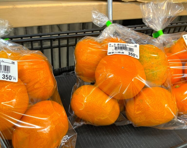 ライディングウエスト｜【タナックスの本気】あの“キャンピングシートバッグ”のDNAがここに！ ツーリングの達人が辿り着く「最強ウェストバッグ」の実力を暴く