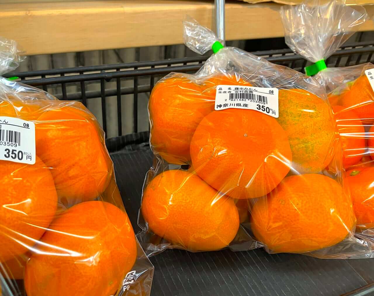 ライディングウエスト｜【タナックスの本気】あの“キャンピングシートバッグ”のDNAがここに！ ツーリングの達人が辿り着く「最強ウェストバッグ」の実力を暴く