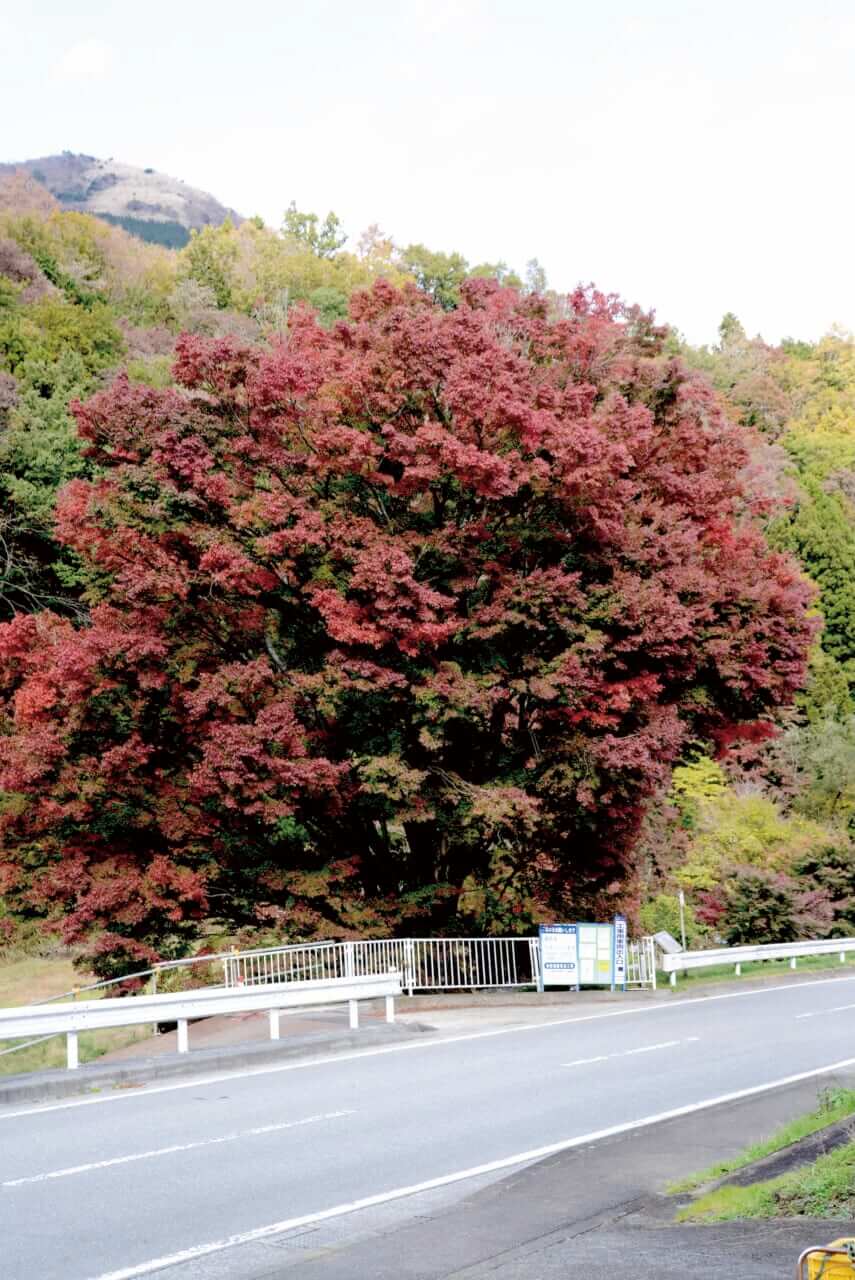 BMW R12G/S GS sport｜BMW R12G/S GSスポーツでツーリング〜足柄／裏箱根南北縦走行(神奈川県／静岡県)