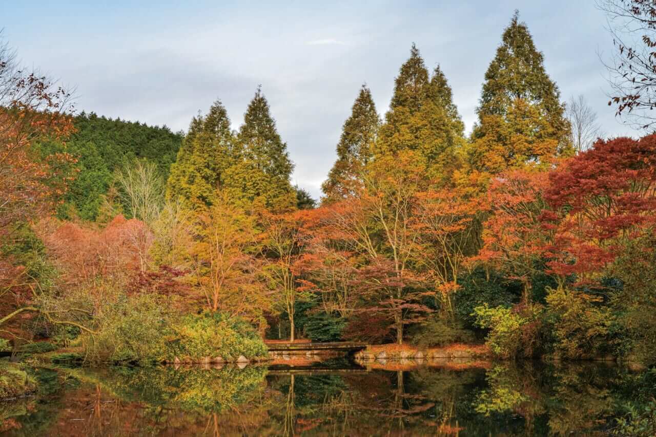 BMW R12G/S GS sport|BMW R12G/S GSスポーツでツーリング〜足柄/裏箱根南北縦走行(神奈川県/静岡県)