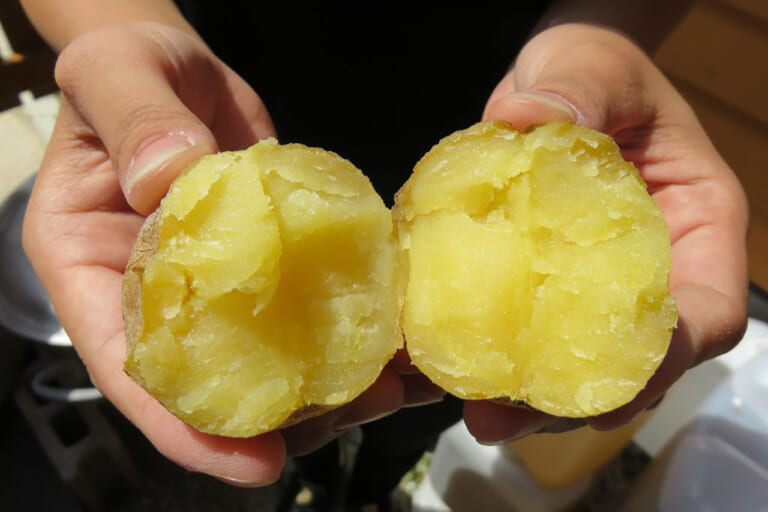 【塩じゃがいも】石川県:道の駅すず塩田村|年末年始の帰省時に食べたい道の駅グルメ! 「道-1グランプリ」出場グルメを味わって2026年へ向けて心身ともにチャージだっ!