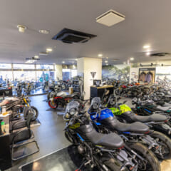 トライアンフ正規ディーラー「トライアンフ横浜港北」の中古車