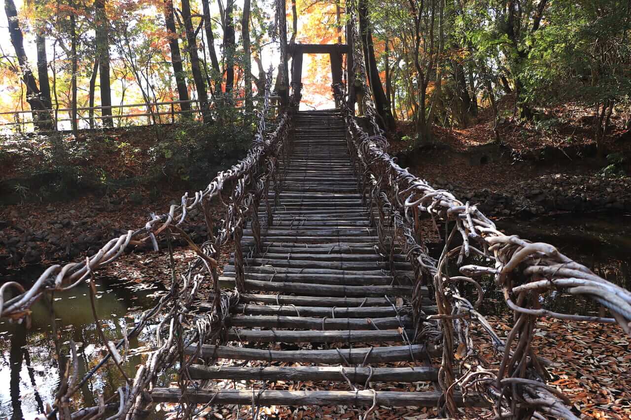 ｜【夜行フェリーという選択】朝うどんから始まる、香川絶景ツーリング