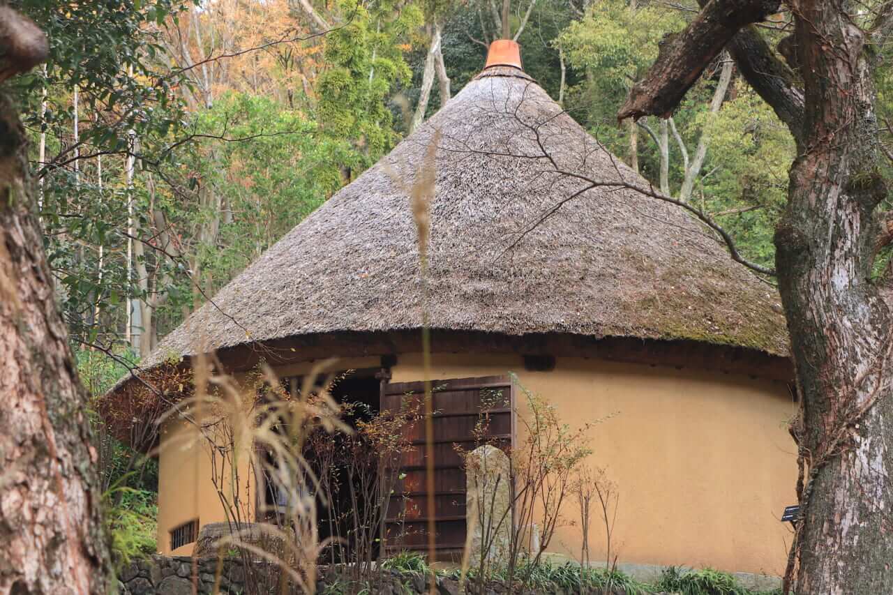 ｜【夜行フェリーという選択】朝うどんから始まる、香川絶景ツーリング