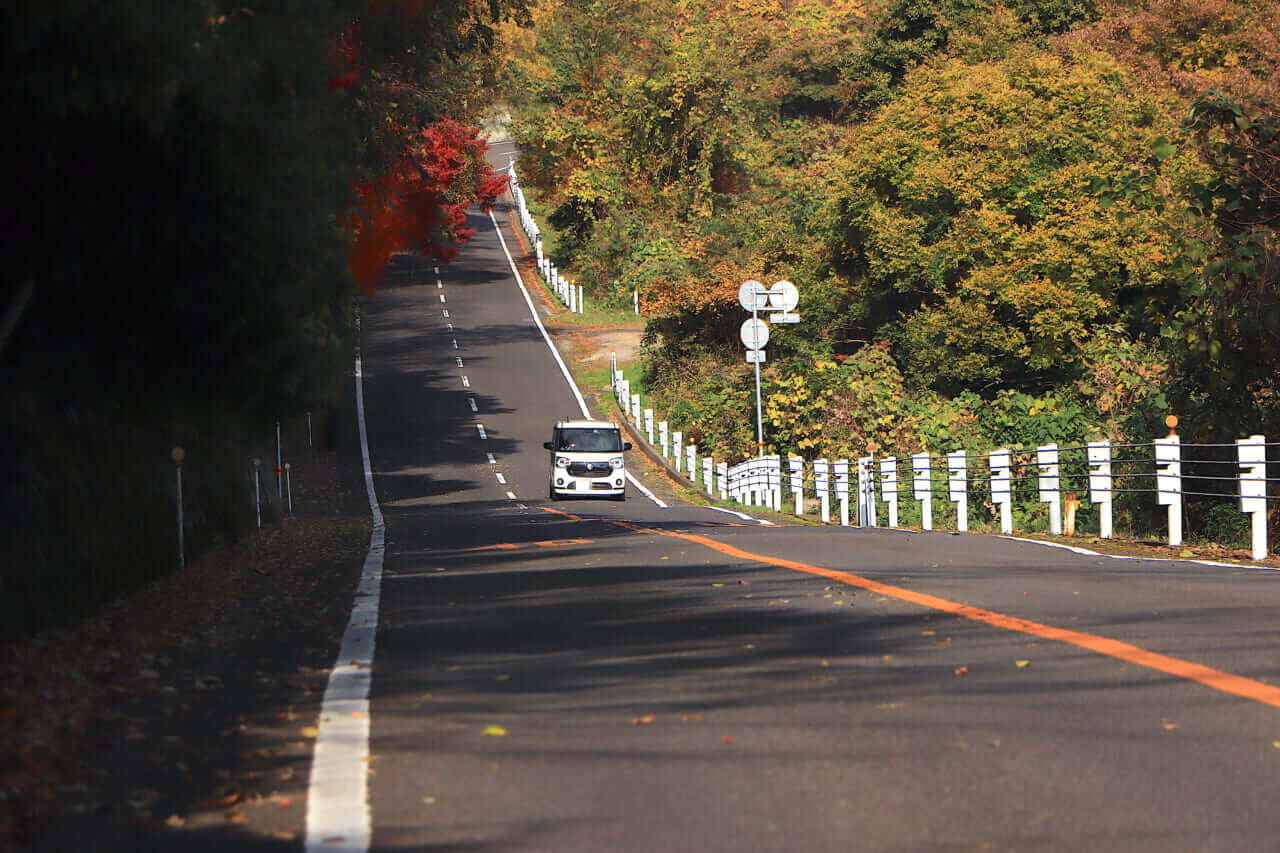 ｜【夜行フェリーという選択】朝うどんから始まる、香川絶景ツーリング
