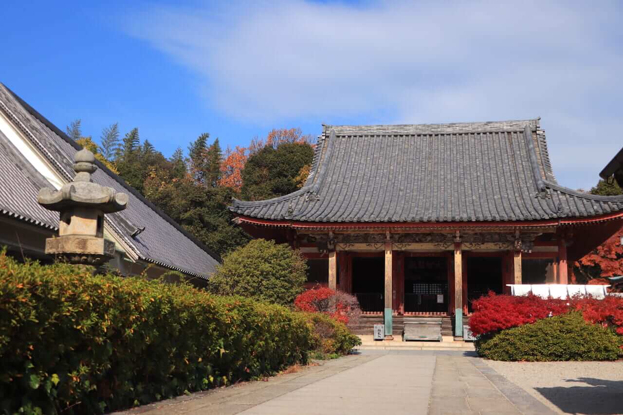 ｜【夜行フェリーという選択】朝うどんから始まる、香川絶景ツーリング