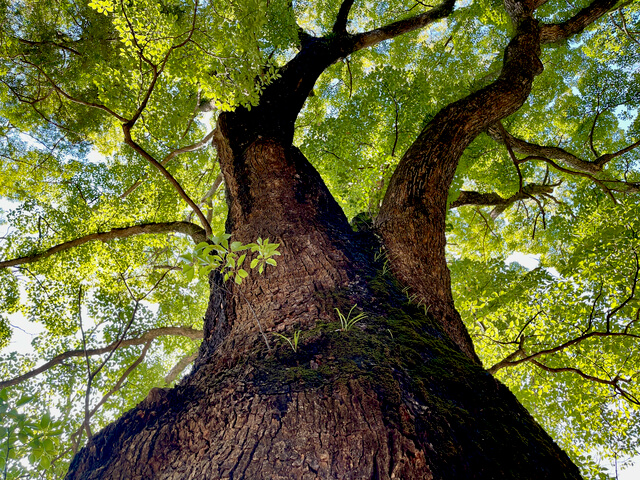 BMW F800GSで湯河原温泉探訪ツーリング|BMW F800GSで湯河原温泉探訪ツーリング