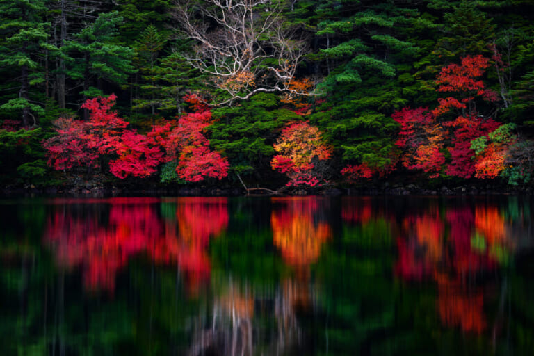 高低差で変化する季節の色づき、静寂の中で見つけた異なる時の流れ──信州をツーリング