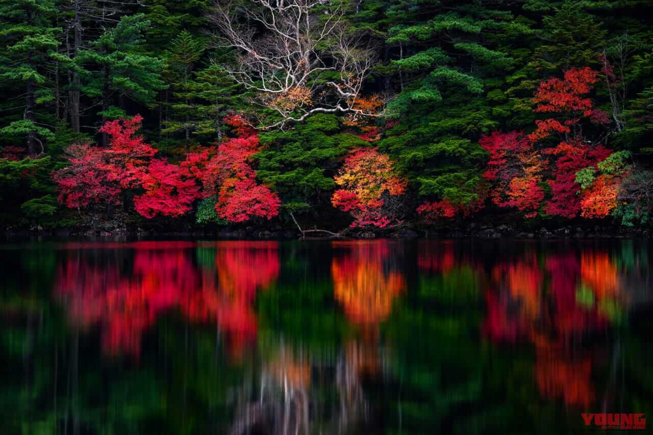 高低差で変化する季節の色づき、静寂の中で見つけた異なる時の流れ──信州をツーリング