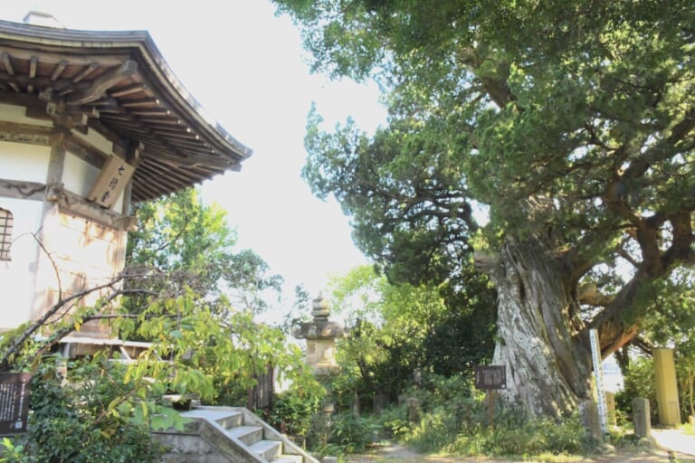 BMW F800GSで湯河原温泉探訪ツーリング|BMW F800GSで湯河原温泉探訪ツーリング