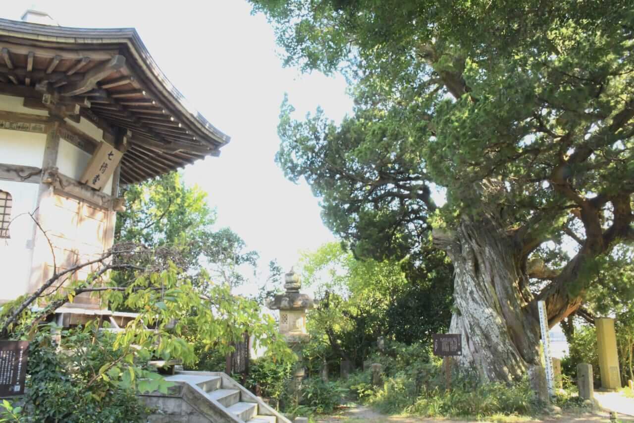 BMW F800GSで湯河原温泉探訪ツーリング｜BMW F800GSで湯河原温泉探訪ツーリング