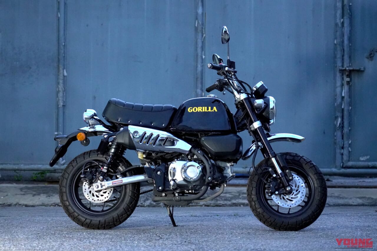 |【ついに販売開始!】「ゴリラ125」が入手可能に! カスタム外装キットが日本国内でも買える