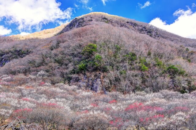 BMW F800GSで湯河原温泉探訪ツーリング|BMW F800GSで湯河原温泉探訪ツーリング