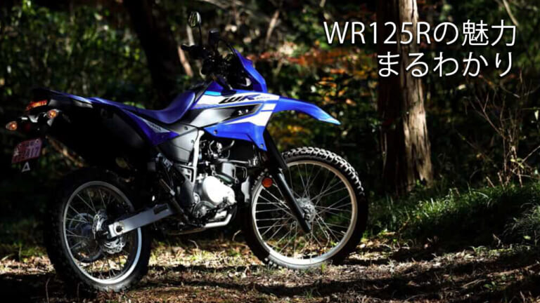 【国産新型】ヤマハ(YAMAHA)WR125R購入前にチェックしたい記事3選【スペック/試乗/パーツ】