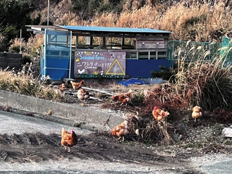 BMW R1300RT_伊豆黄昏浪漫行|【BMWツーリング:R1300RT】伊豆黄昏浪漫行〜一日の終わり、旅の終わりに拝む日の入り