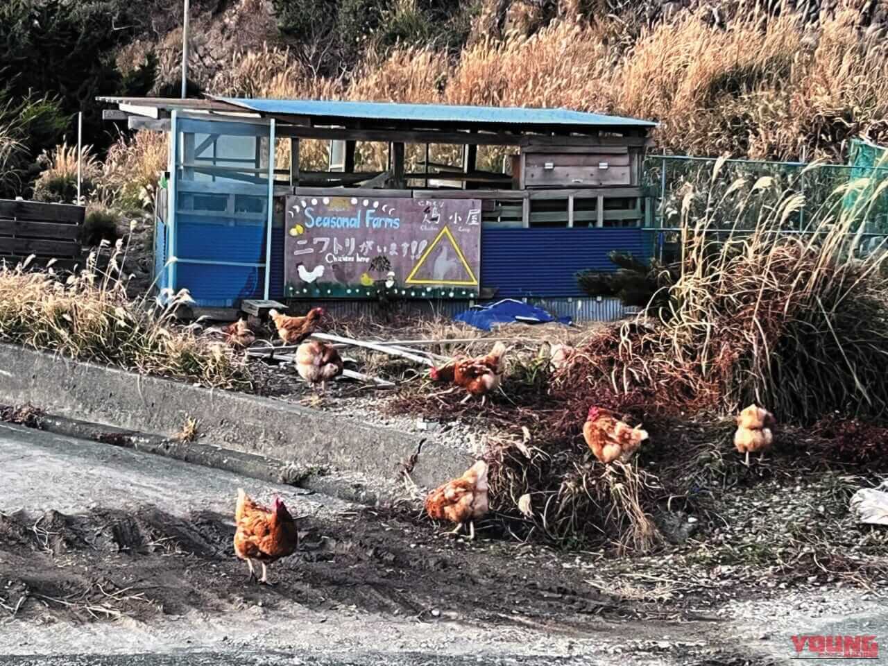 BMW R1300RT_伊豆黄昏浪漫行｜【BMWツーリング：R1300RT】伊豆黄昏浪漫行〜一日の終わり、旅の終わりに拝む日の入り