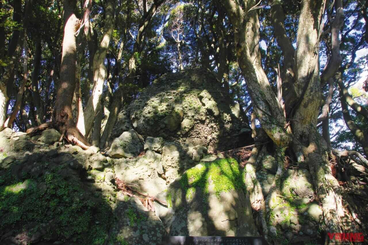 BMW R1300RT_伊豆黄昏浪漫行｜【BMWツーリング：R1300RT】伊豆黄昏浪漫行〜一日の終わり、旅の終わりに拝む日の入り