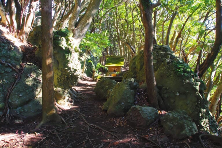 BMW R1300RT_伊豆黄昏浪漫行｜【BMWツーリング：R1300RT】伊豆黄昏浪漫行〜一日の終わり、旅の終わりに拝む日の入り